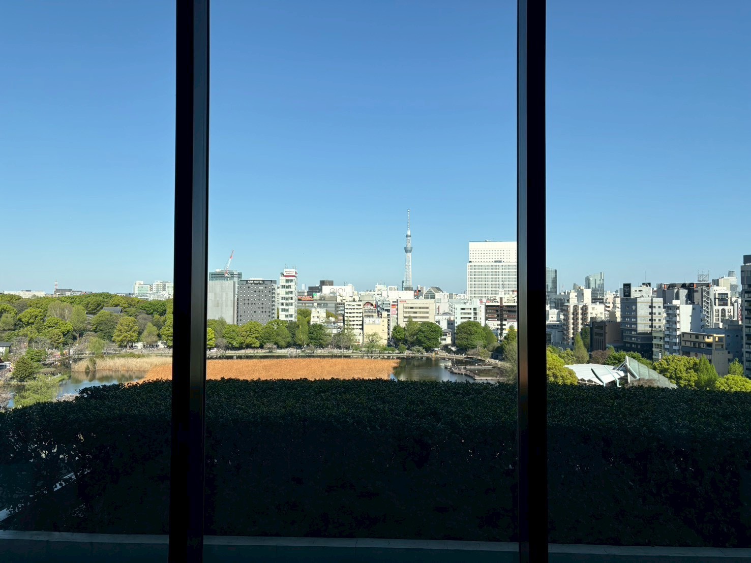 お客様の声_エムエスティ様